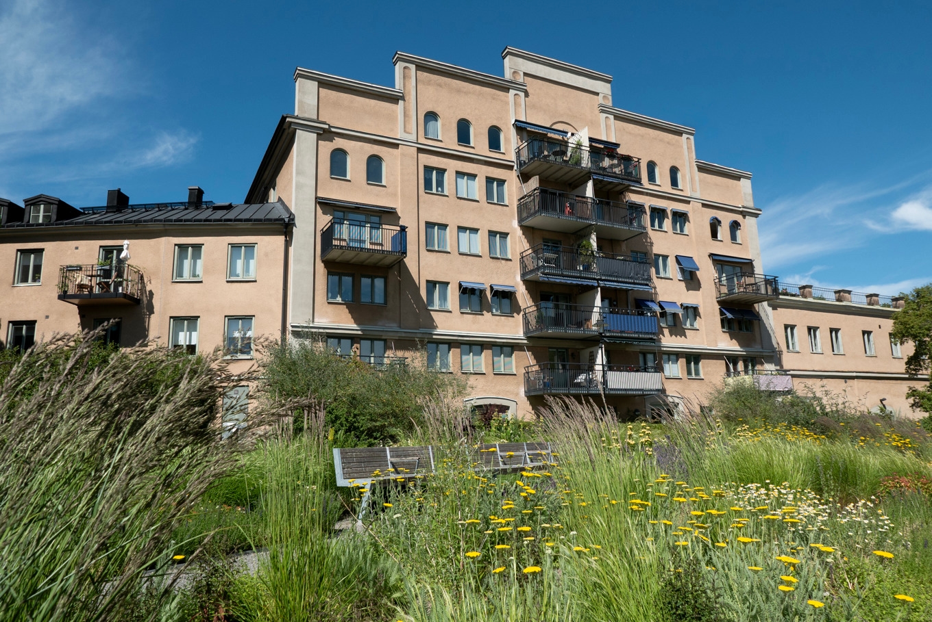 Bostadshus på Reimersholmsgatan på Reimersholme i Stockholm. Arkivbild. Foto: Gabriella Bruske/TT