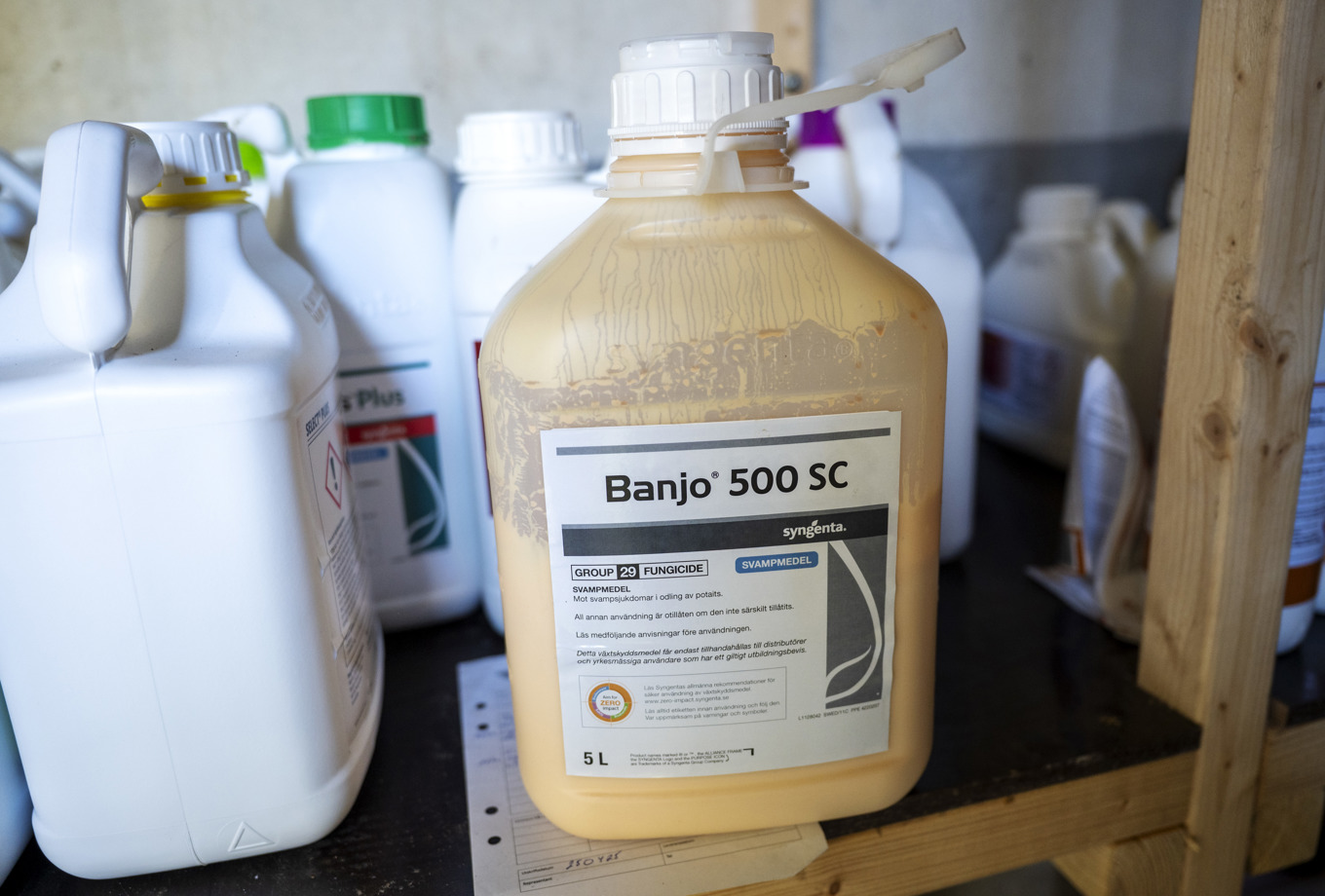 En femlitersdunk med svampmedel som används mot bladmögel i potatisodlingar. Det innehåller PFAS-medlet fluazinam, som förbjudits i Danmark. Foto: Johan Nilsson / TT