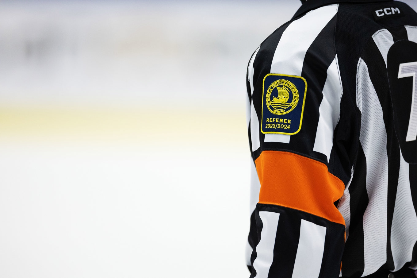 Möten mellan domare, spelare och ledare ska sätta stopp för hoten mot rättsskiparna. Arkivbild. Foto: Andreas Hillergren/TT