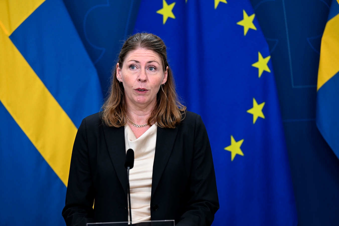 Sjukvårdsminister Elisabet Lann (KD). Arkivbild. Foto: Fredrik Sandberg/TT