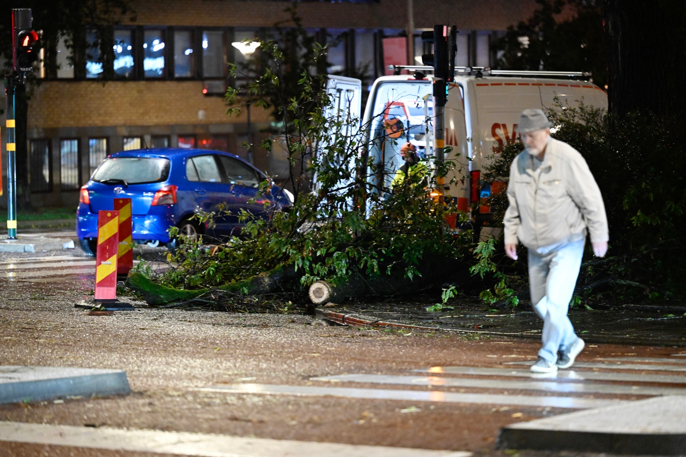 Ett träd har blåst ner vid Zinkensdamm på Södermalm i Stockholm efter hårda vindar och regn under torsdagen. Foto: Fredrik Sandberg/TT