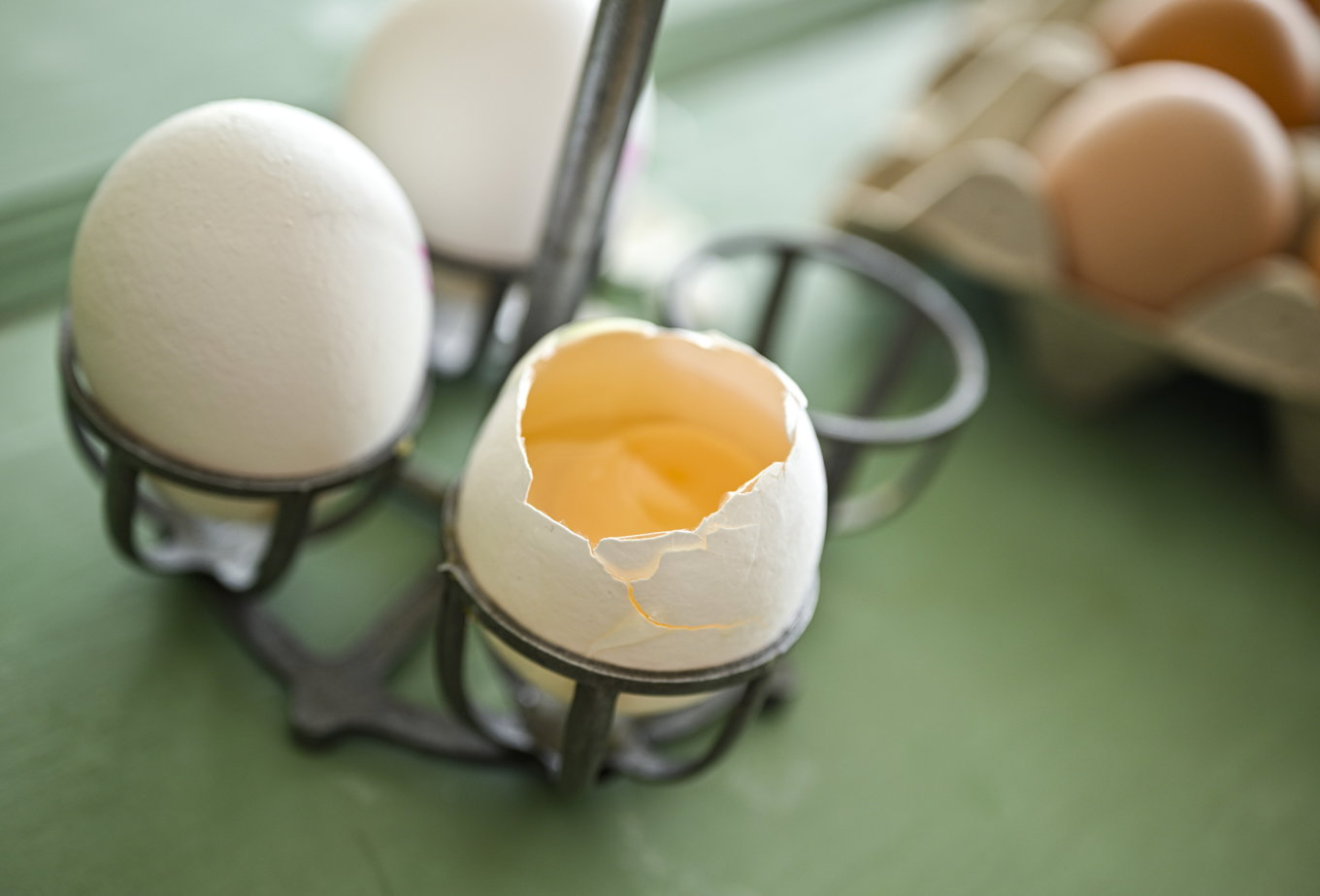 Ägg kan innehålla salmonella men om de upphettas ordentligt. Foto: Johan Nilsson/TT