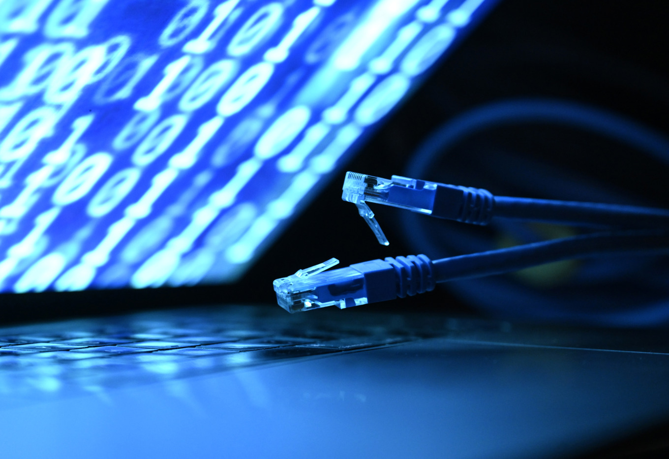 Grupperingen krävde i samband med cyberattacken mot systemleverantören Miljödata 1,5 bitcoins (motsvarande drygt 1,5 miljoner kronor) för att avstå från att publicera de stulna uppgifterna. De publicerades under söndagen på darknet. Arkivbild. Foto: Fredrik Sandberg/TT