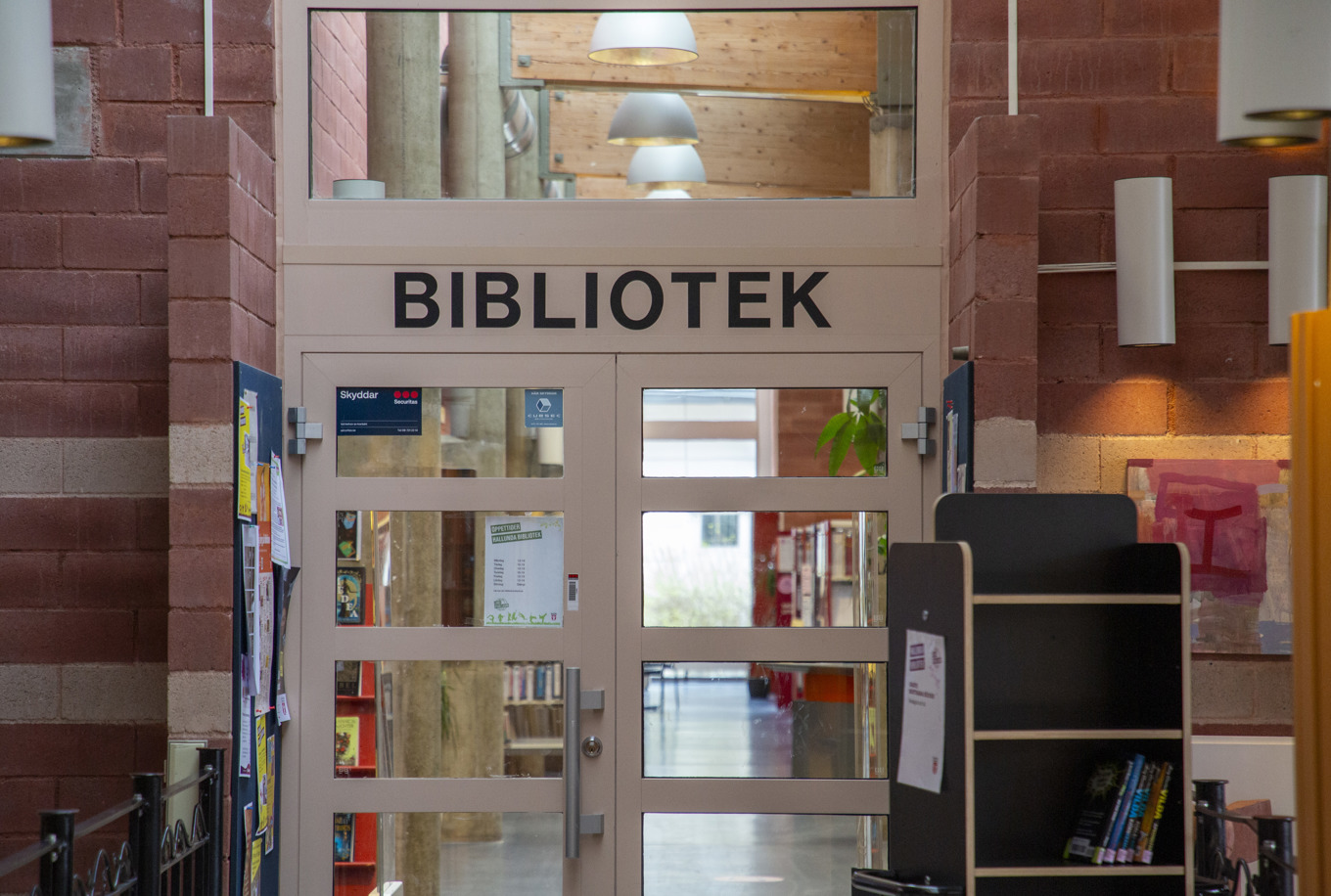En färsk undersökningen visar att förväntningarna på vad biblioteken kan och ska hjälpa till med ofta går långt utöver deras uppdrag. Arkivbild. Foto: Martina Holmberg/TT