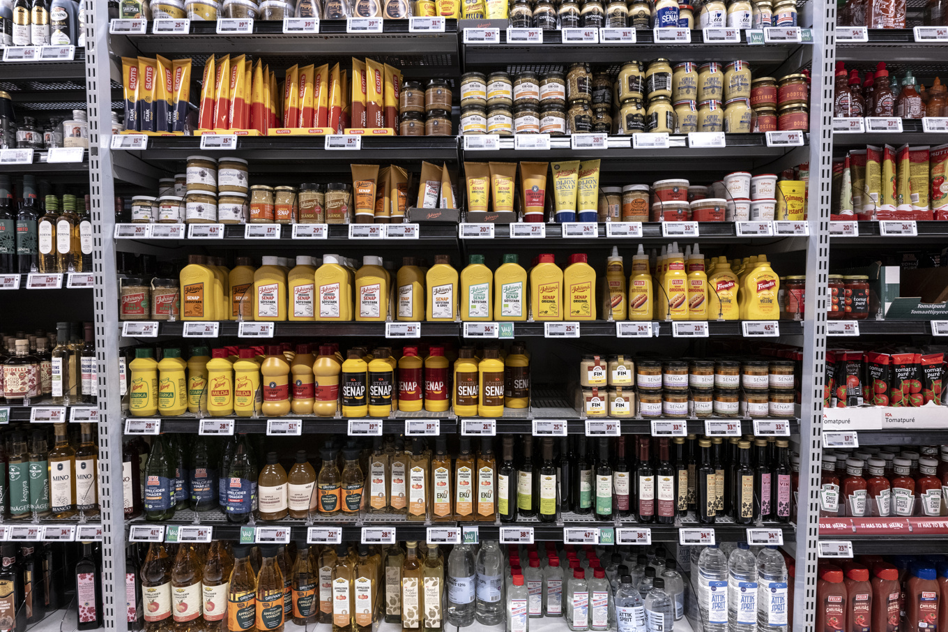 Förslaget från Tidöpartierna att tillfälligt halvera matmomsen skickar mycket positiva signaler till hushållen, menar William Lindquist. Arkivbild. Foto: Björn Larsson Rosvall/TT