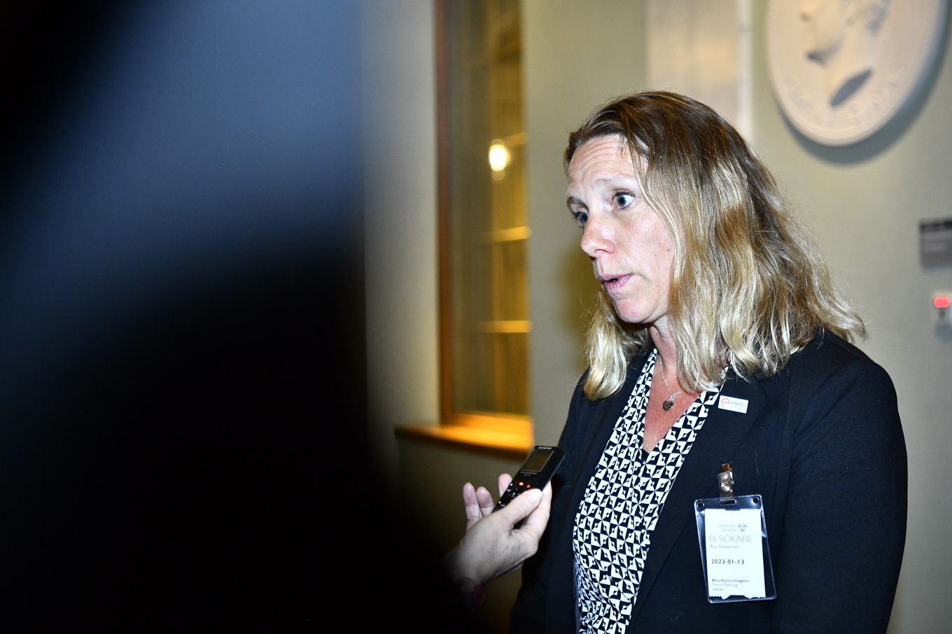 Åsa Pettersson, vd Energiföretagen. Arkivbild. Foto: Caisa Rasmussen/TT