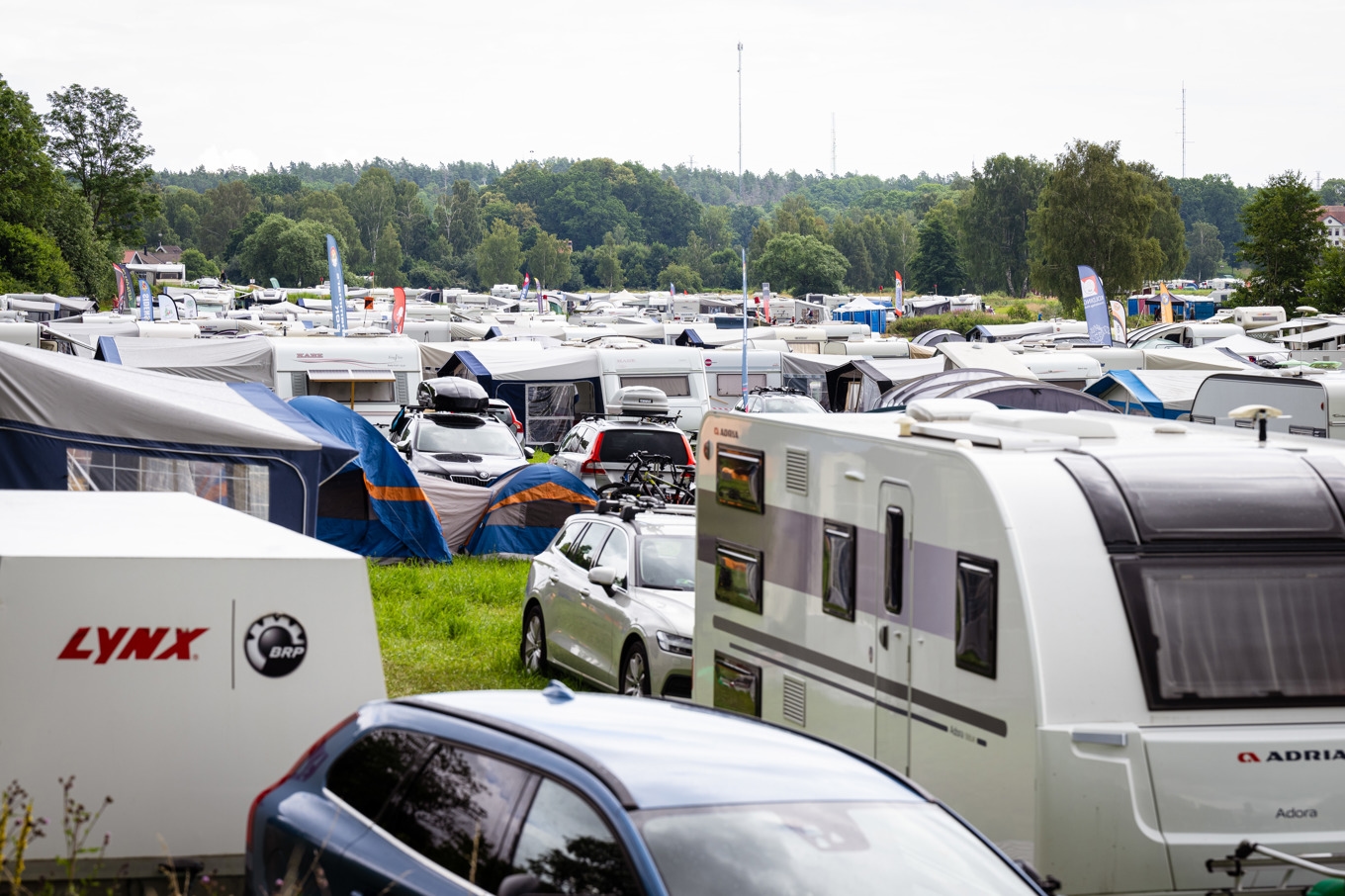 Välbelagt på campingplatserna i sommar. Arkivbild. Foto: Magnus Lejhall/TT