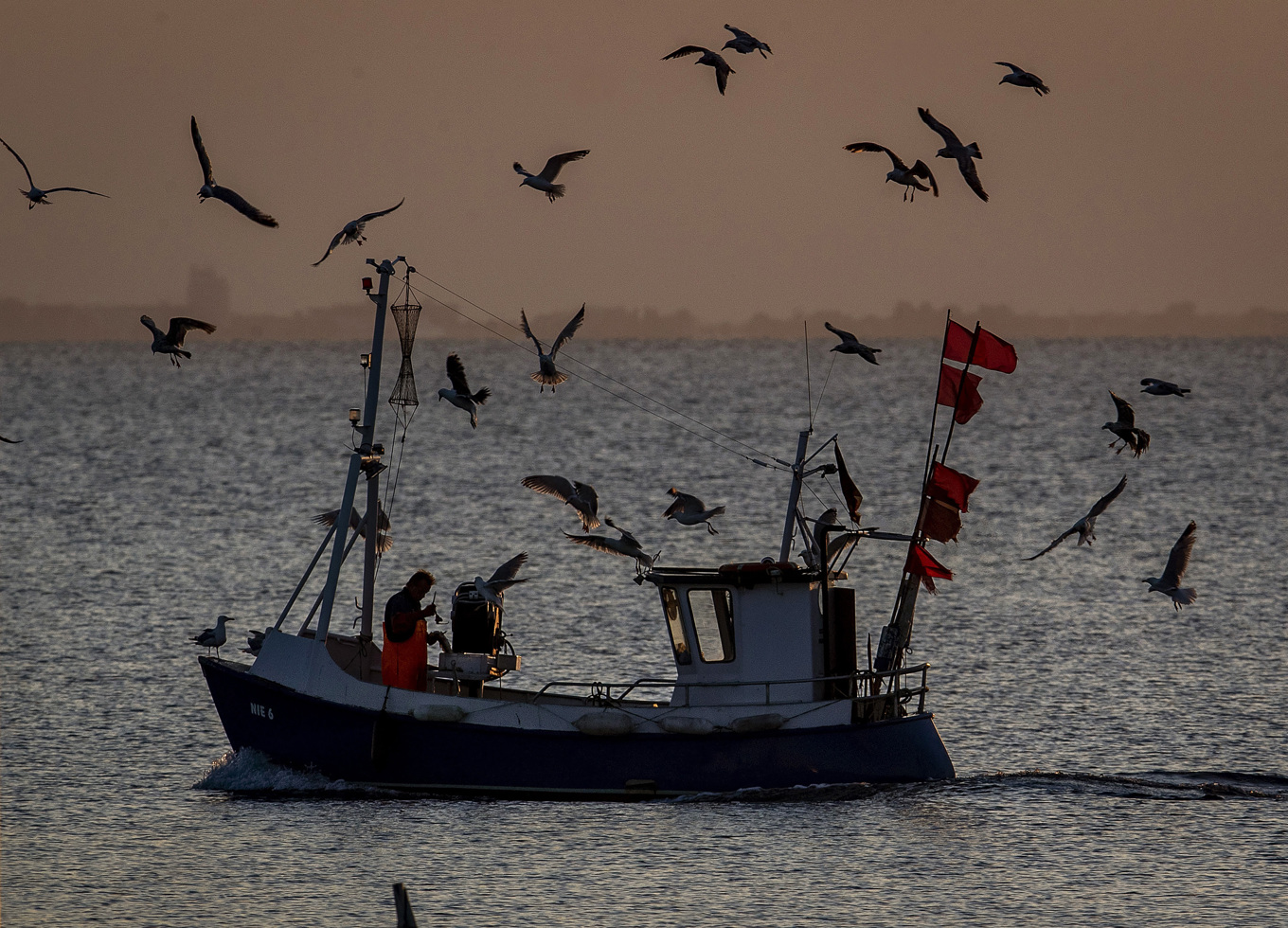 En fiskebåt nära Timmendorfer Strand i norra Tyskland. Arkivbild. Foto: Michael Probst/AP/TT