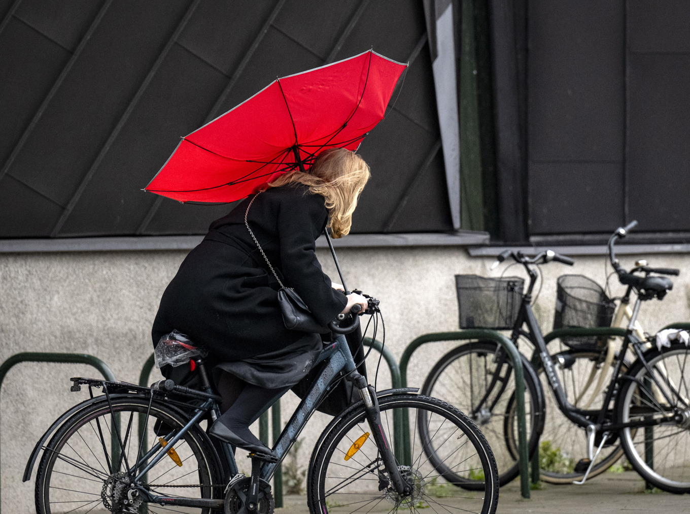 Det blir både regn och blåst i helgen när stormen Amy når Sverige. Arkivbild. Foto: Johan Nilsson/TT
