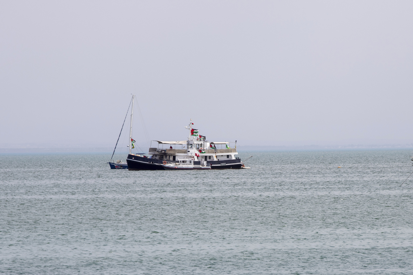 Den tidigare Gazakonvojen bestod av 42 båtar. Arkivbild. Foto: Anis Mili/AP/TT
