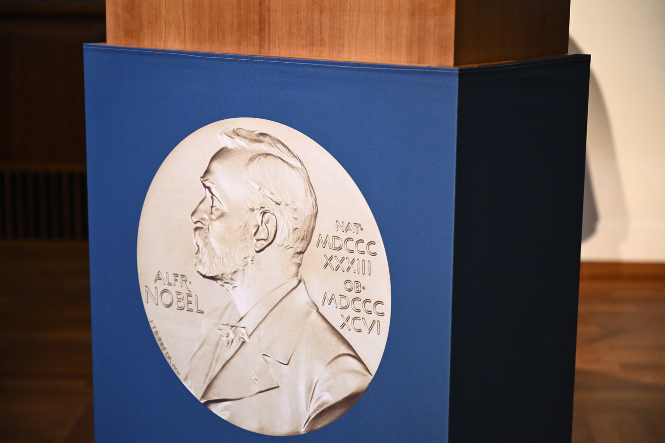 Medelålders män från Europa och Nordamerika vinner oftast Nobelpris. Arkivbild. Foto: Christine Olsson/TT
