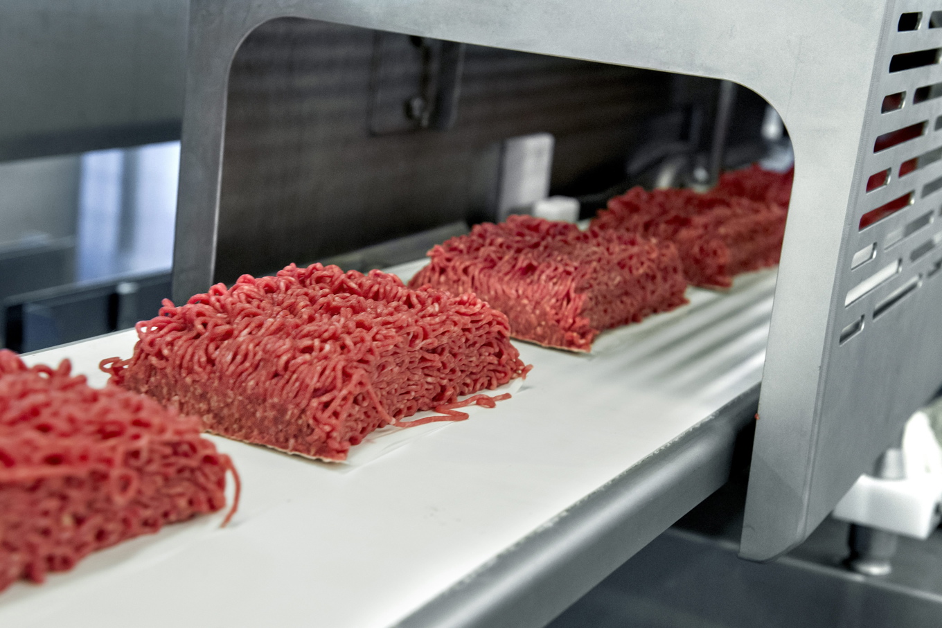 Stora prishöjningar på nötkött och köttfärs i september, enligt Matpriskollen. Arkivbild Foto: Claudio Bresciani / TT