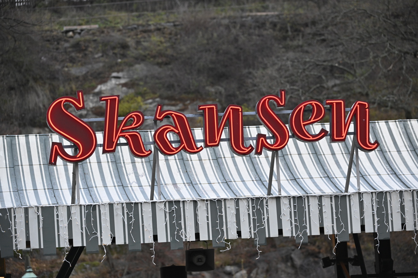 Skansen inför fri entré för barn upp till 15 år. Arkivbild. Foto: Henrik Montgomery/TT