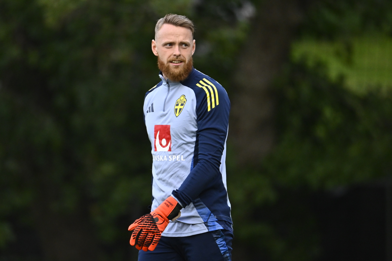 Viktor Johansson. Foto: Christine Olsson/TT