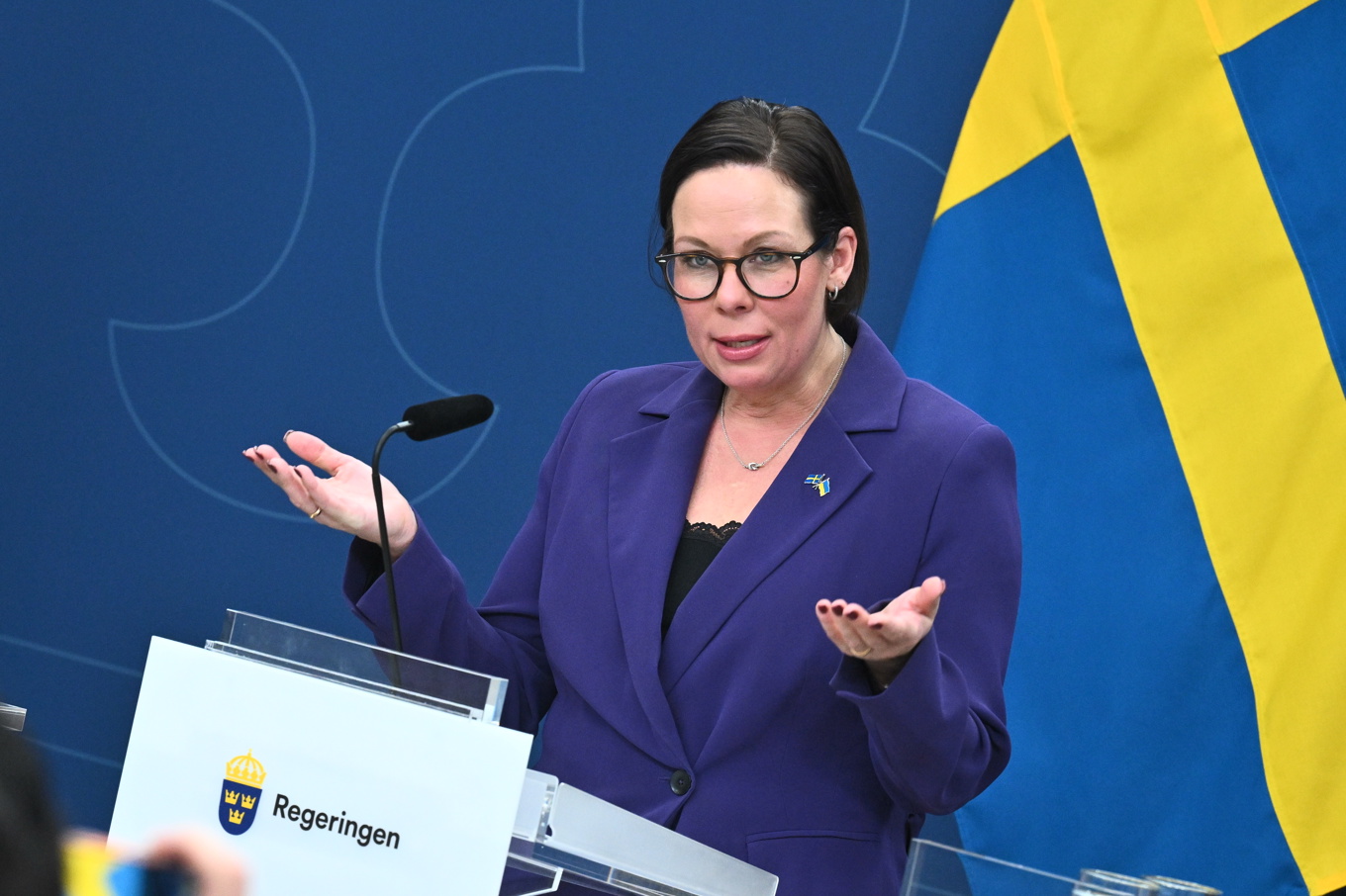 Utrikesminister Maria Malmer Stenergard (M). Arkivbild. Foto: Claudio Bresciani/TT