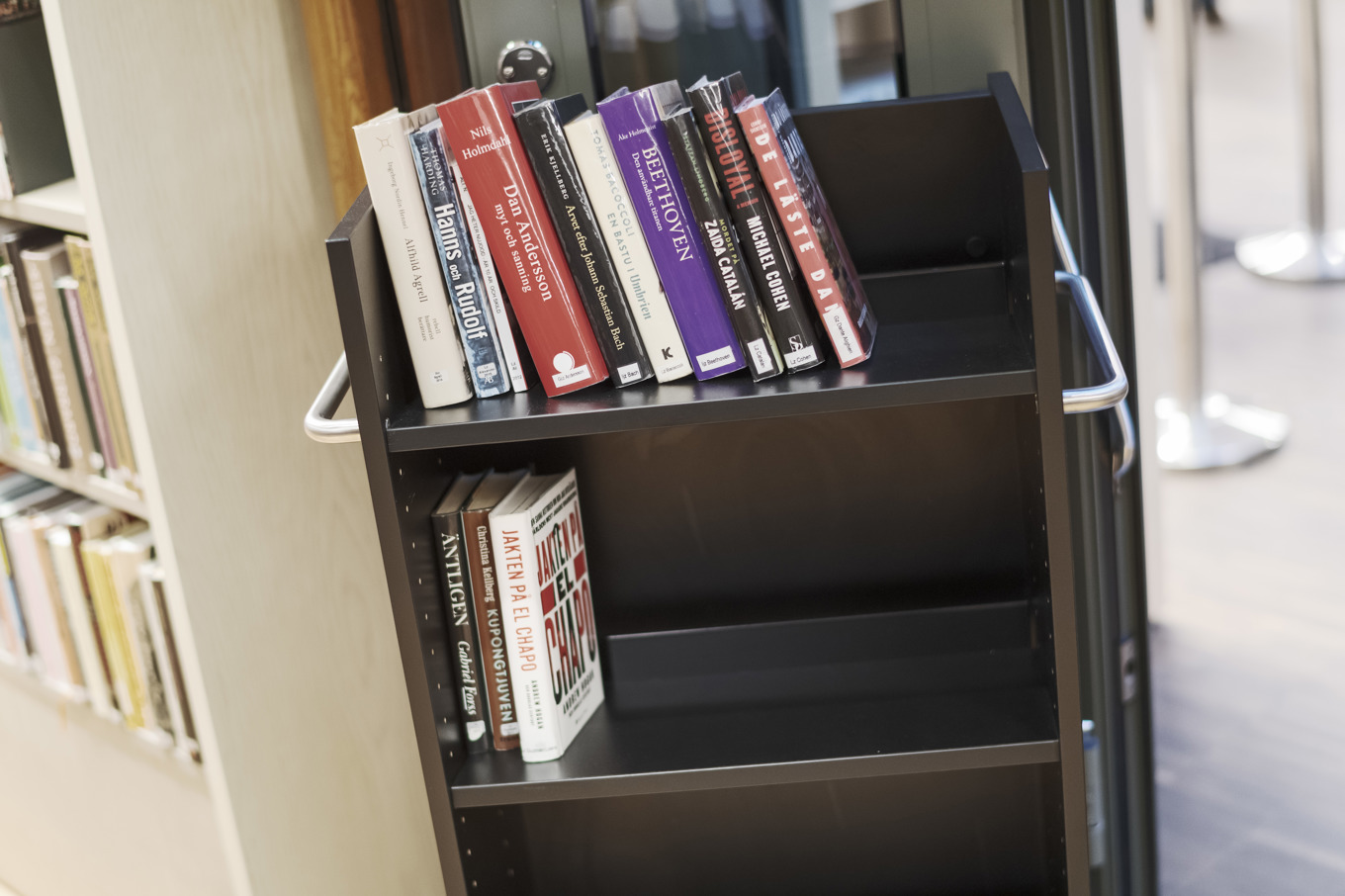 En 50 år försenad bok har lämnats tillbaka till Sandvikens bibliotek. Arkivbild. Foto: Paul Wennerholm/TT