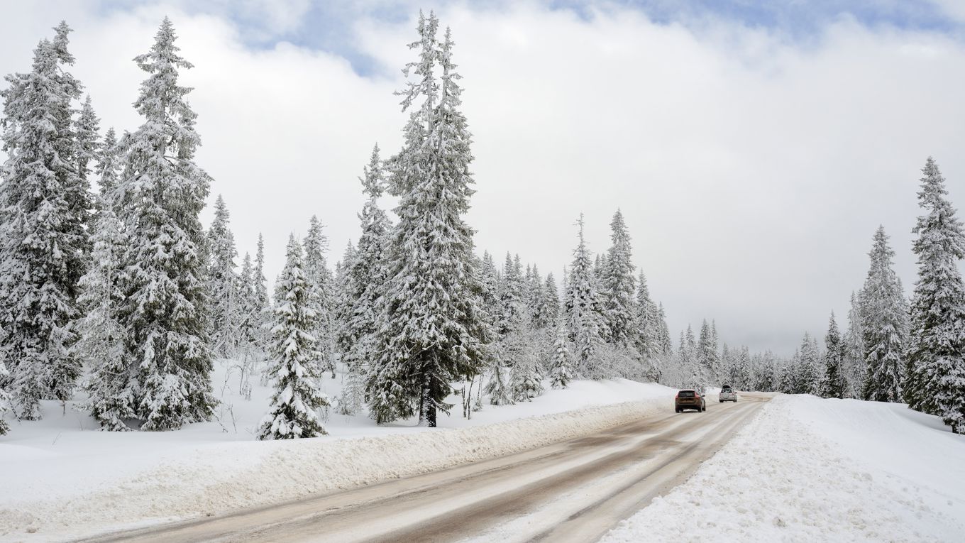 Säkerheten är överlägset viktigast när svensken väljer vinterdäck.
Foto: Shutterstock