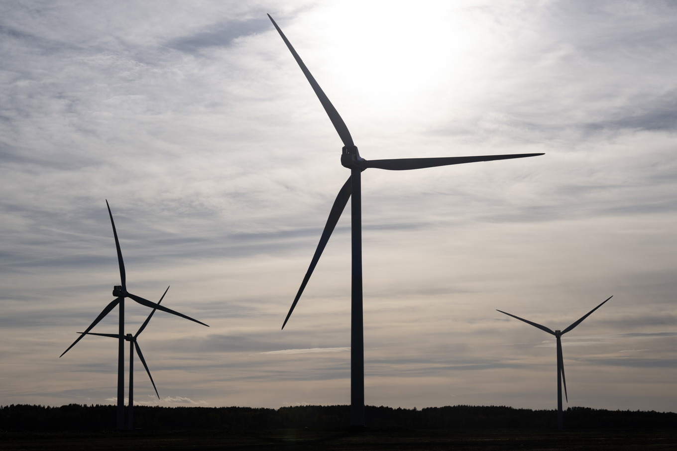 Vindkraftpark utanför Eskilstuna. Arkivbild. Foto: Fredrik Sandberg/TT