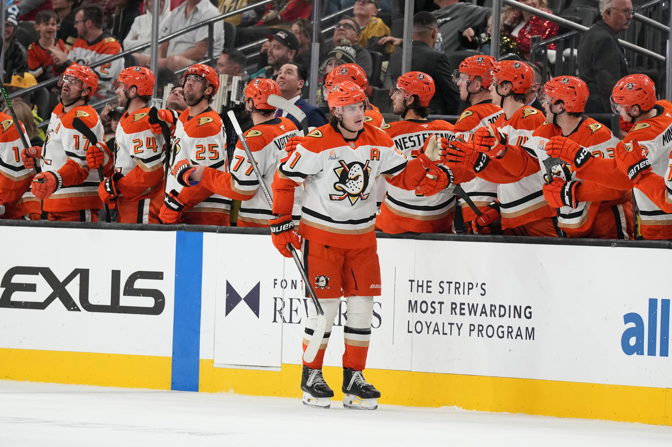 Anaheim-centern Leo Carlsson firar ett av sina två mål mot Vegas. Foto: Candice Ward/AP/TT