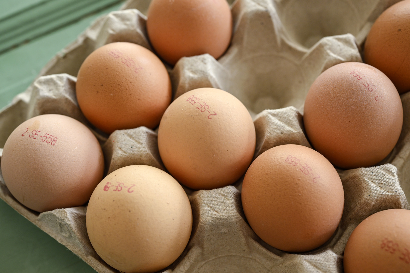 Ägg återkallas efter att salmonella hittats i stallmiljö. Arkivbild. Foto: Johan Nilsson/TT