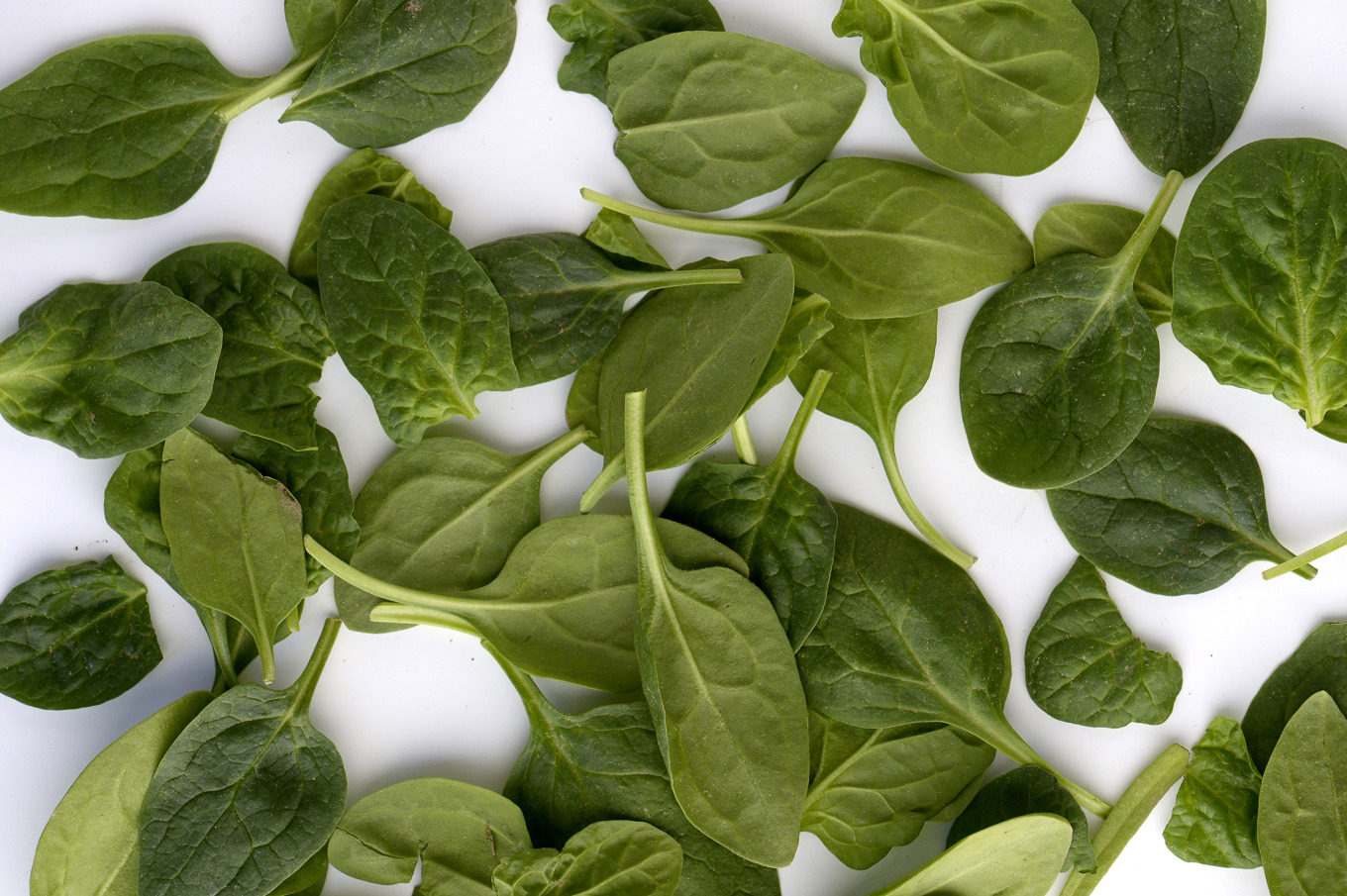 Spenat är en av de grönsaker som innehåller karotenoider, en antioxidant som i en studie kopplas till lägre nivåer av inflammation i kroppen. Arkivbild. Foto: Janerik Henriksson/TT