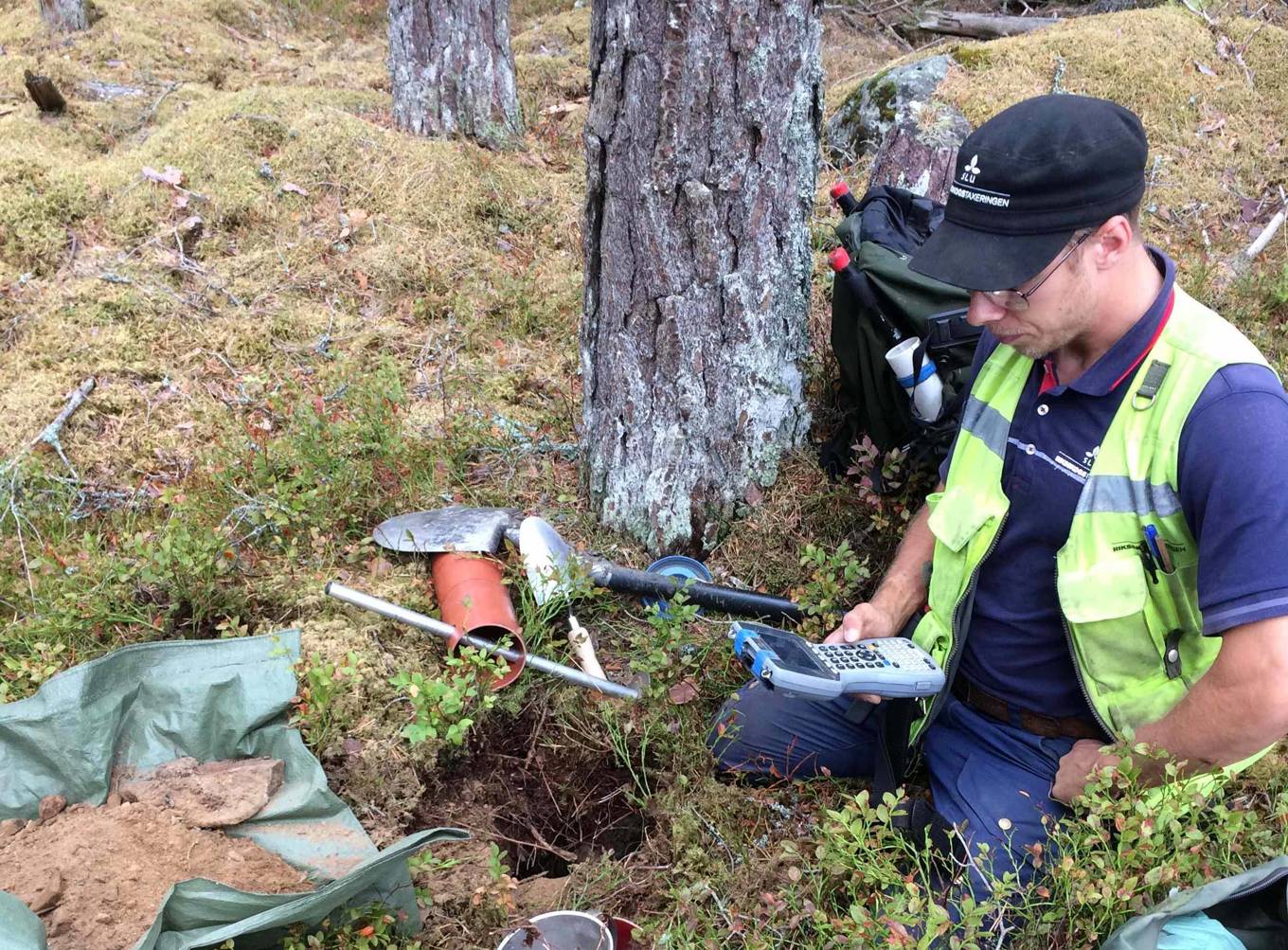 SLU har analyserat jord i skogsmark och konstaterar att den inte har blivit fattigare på viktiga mineralnäringsämnen, trots intensivt skogsbruk. Foto: Johan Stendahl