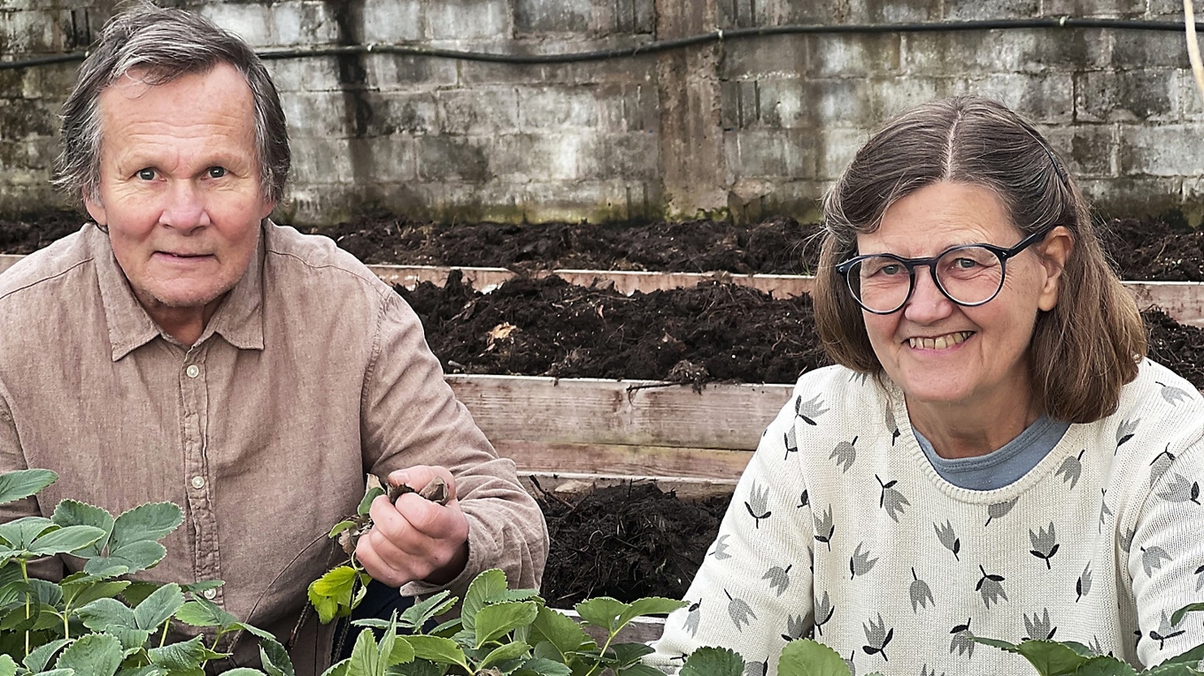 Pionjärerna Marica Möller och Olle Göransson har under 40 år byggt upp och utvecklat ekologisk odling på Torfolk Gård i Värmland. Foto: Kristina I. Kleinert