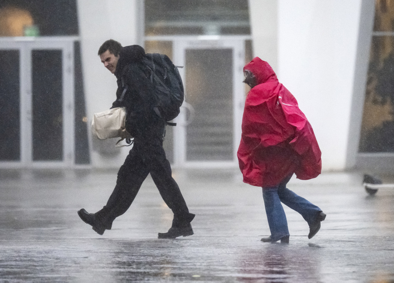 Julafton blir sannolikt grön, eller möjligen blöt, på många håll i landet. Foto: Johan Nilsson / TT