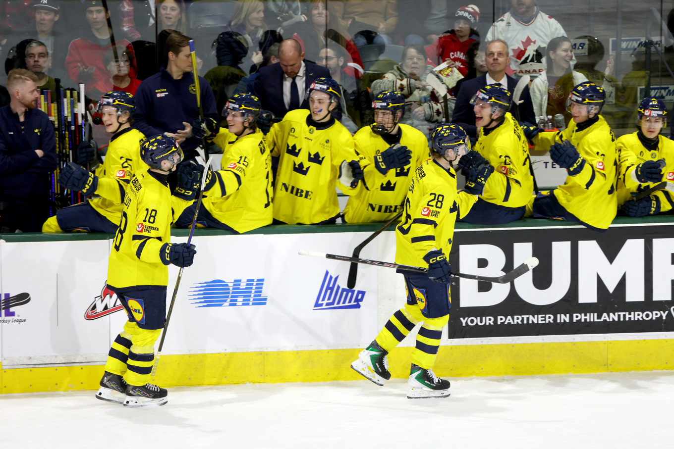 Sverige tog tredje raka segern i JVM. Arkivbild. Foto: Nicole Osborne/AP/TT