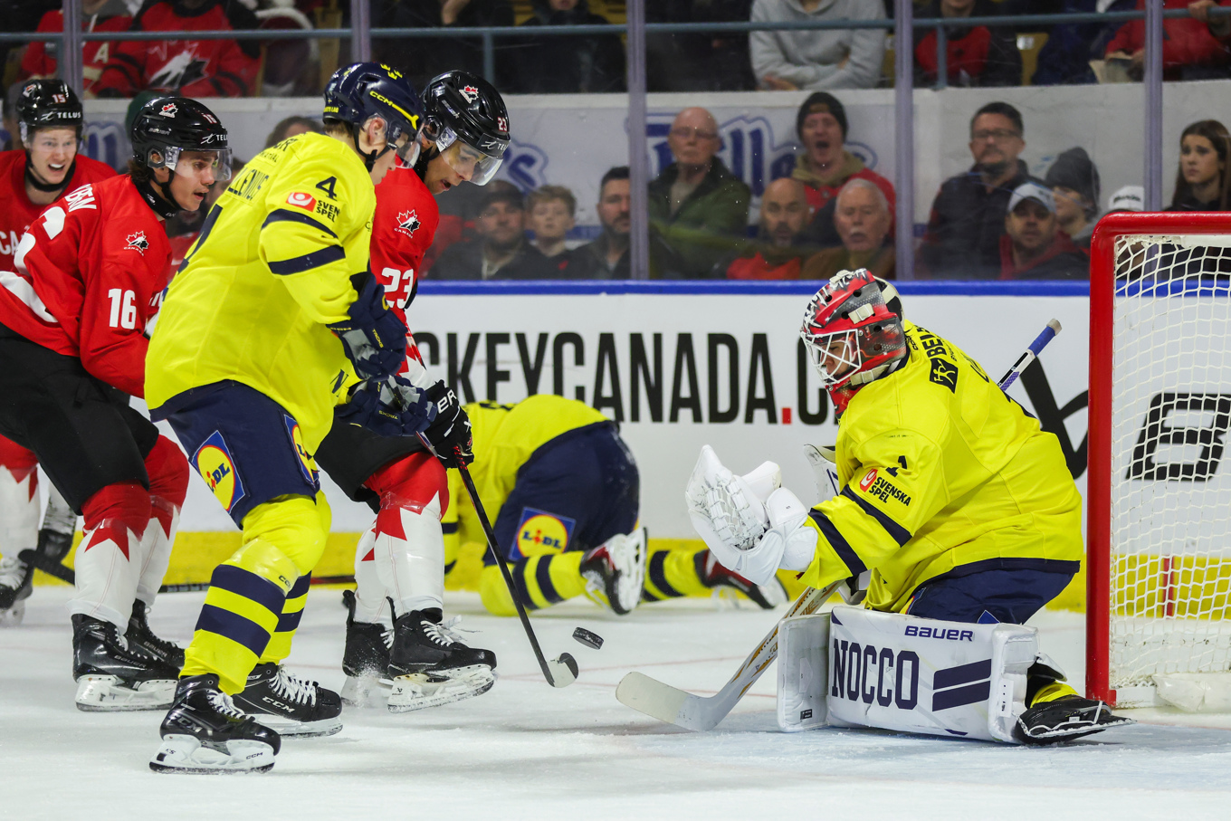 Herman Liv får chansen i målet mot Tyskland i JVM. Arkivbild. Foto: Nick Iwanyshyn/AP/TT