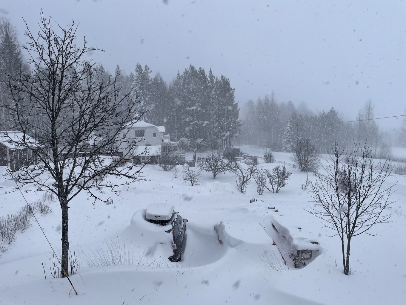 Nya vädervarningar har utfärdats för flera områden runt om i landet. Bild från Ockelbo kommun i Gävleborgs län. Foto: Wiktor Nummelin/TT