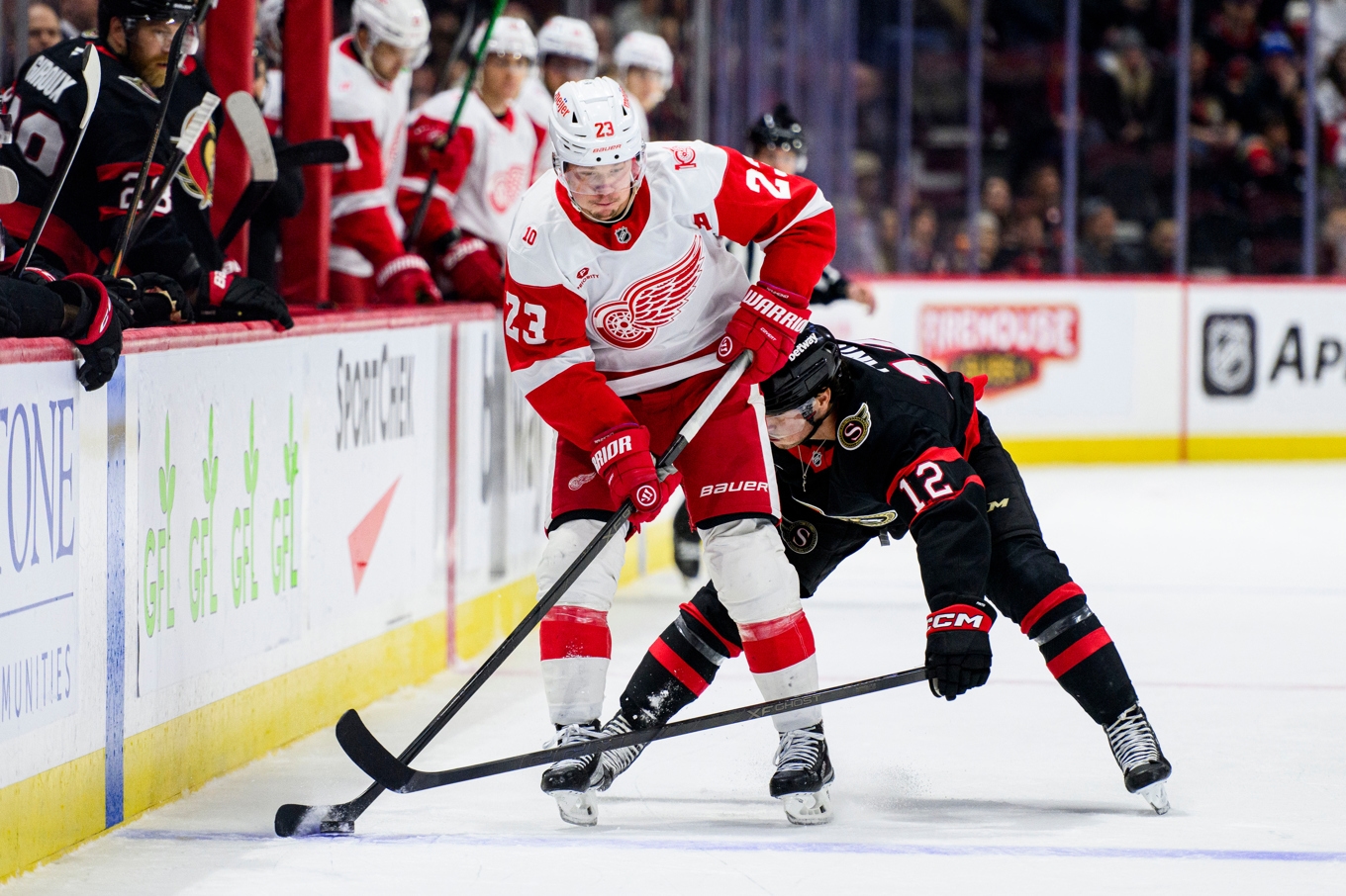 Detroits Lucas Raymond i segermatchen mot Ottawa. Foto: Spencer Colby/AP/TT
