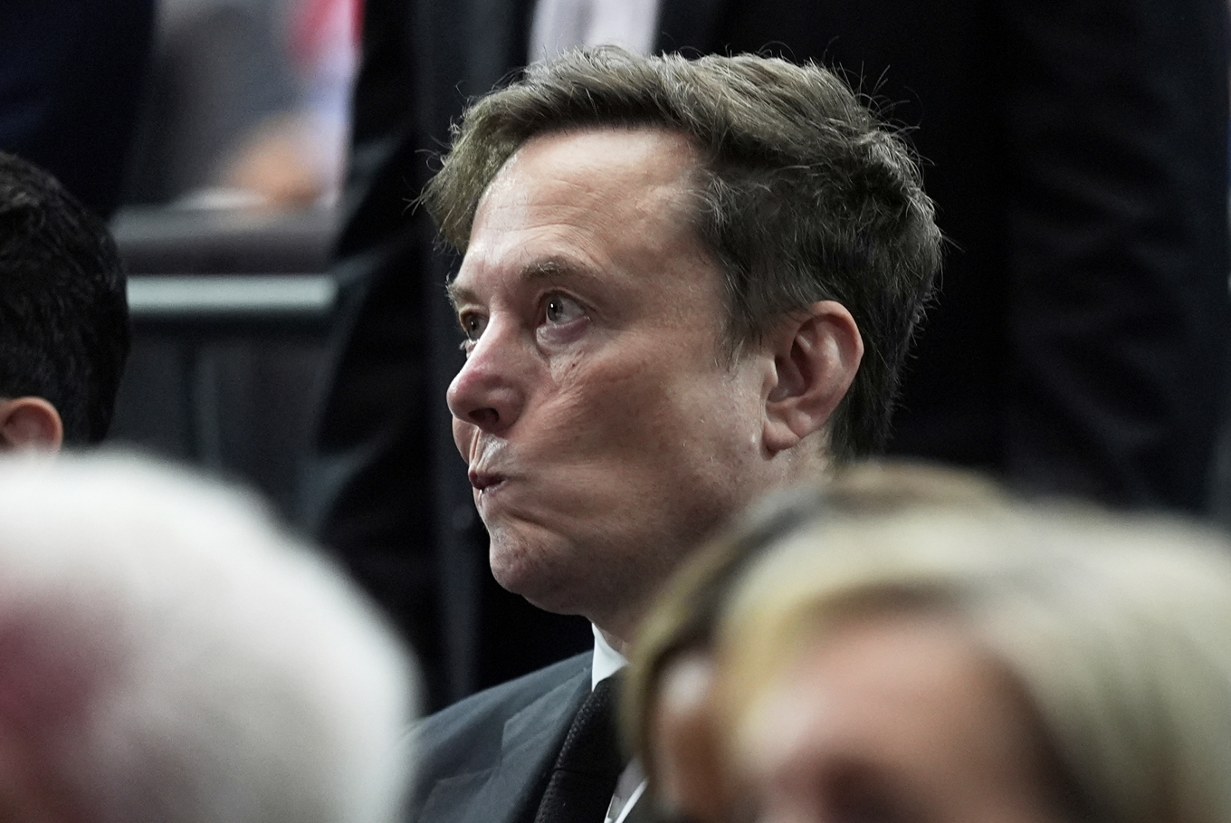 Elon Musk äger X. Arkivbild. Foto: Julia Demaree Nikhinson