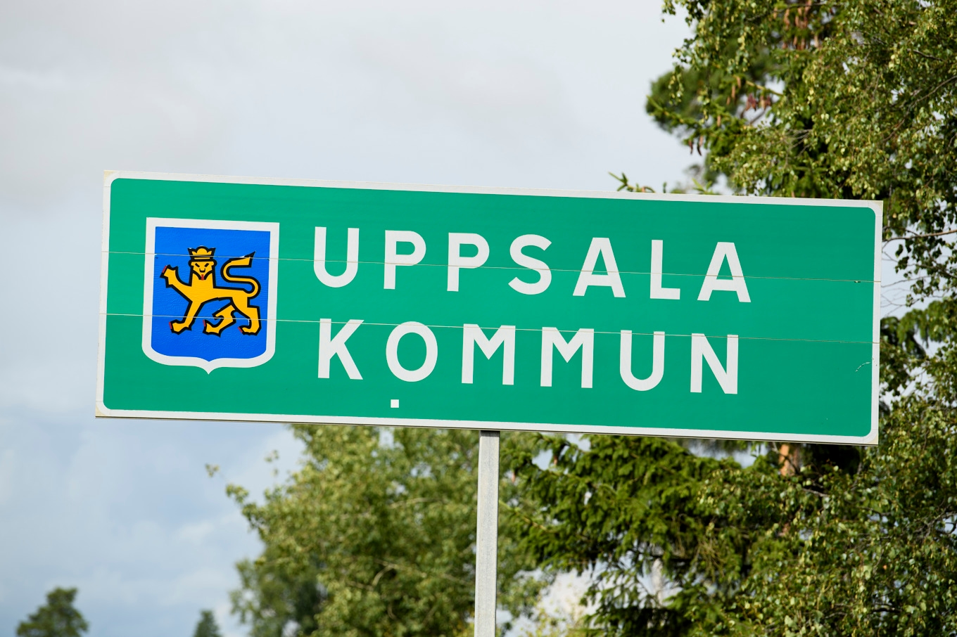 Uppsala kommun har utrett ännu ett misstänkt sexuellt övergrepp inom hemtjänsten. Arkivbild. Foto: Oscar Olsson/TT