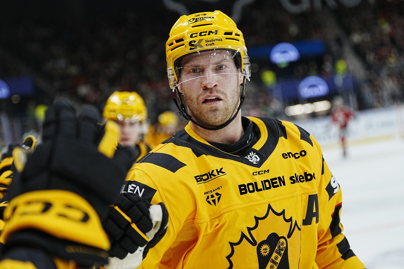 Oscar Lindberg gav sitt Skellefteå 3–3-kvitteringen som innebar förlängning. Arkivbild. Foto: Björn Larsson Rosvall/TT