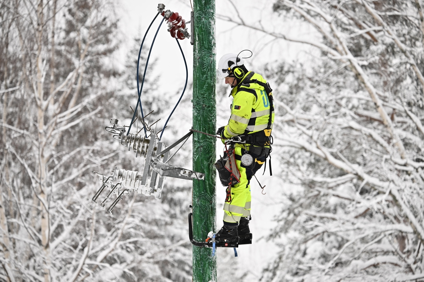 Reparationsarbeten utförs på luftburna elledningar efter stormen Johannes och ovädret Anna i Gävleborg. Foto: Anders Wiklund/TT