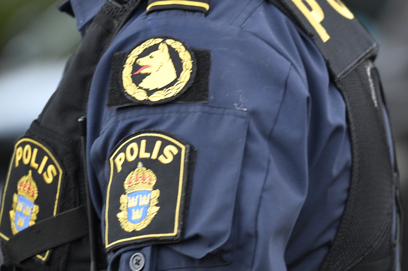Fyra personer har häktats, misstänkta för bedrägerier där de bland annat låtsades vara poliser. Arkivbild. Foto: Maja Suslin/TT