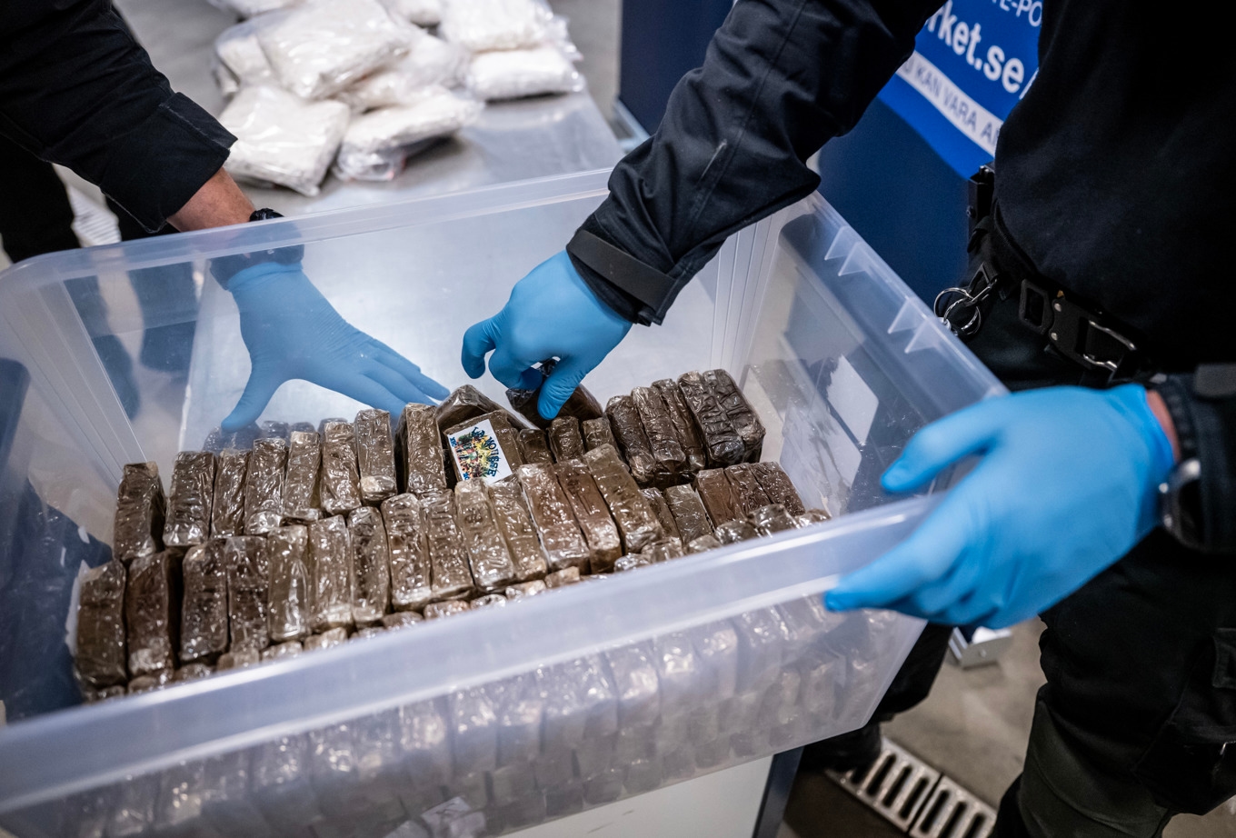 Bild från ett annat cannabisbeslag. Arkivbild. Foto: Johan Nilsson/TT