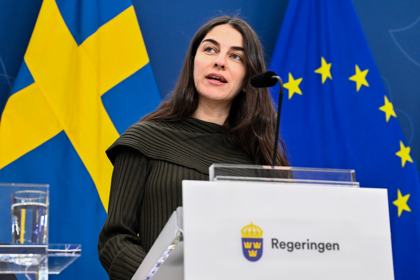 Klimat- och miljöminister Romina Pourmokhtari (L) presenterar regeringens handlingsplan för biologisk mångfald, vid en pressträff. Foto: Henrik Montgomery/TT