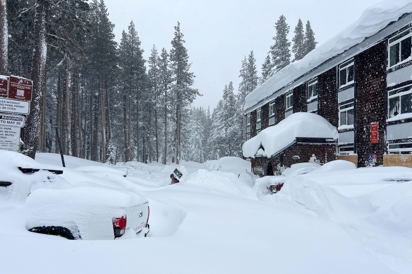 En snöstorm utlöste lavinen i Kalifornien. Bild från området under onsdagen. Foto: Anthony Edwards /AP/TT