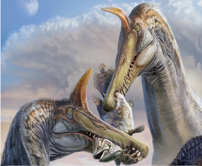 Ny typ av Spinosaurus upptäckt. Foto: Dani Navarro, Jonathan Metzger, Davide la Torre