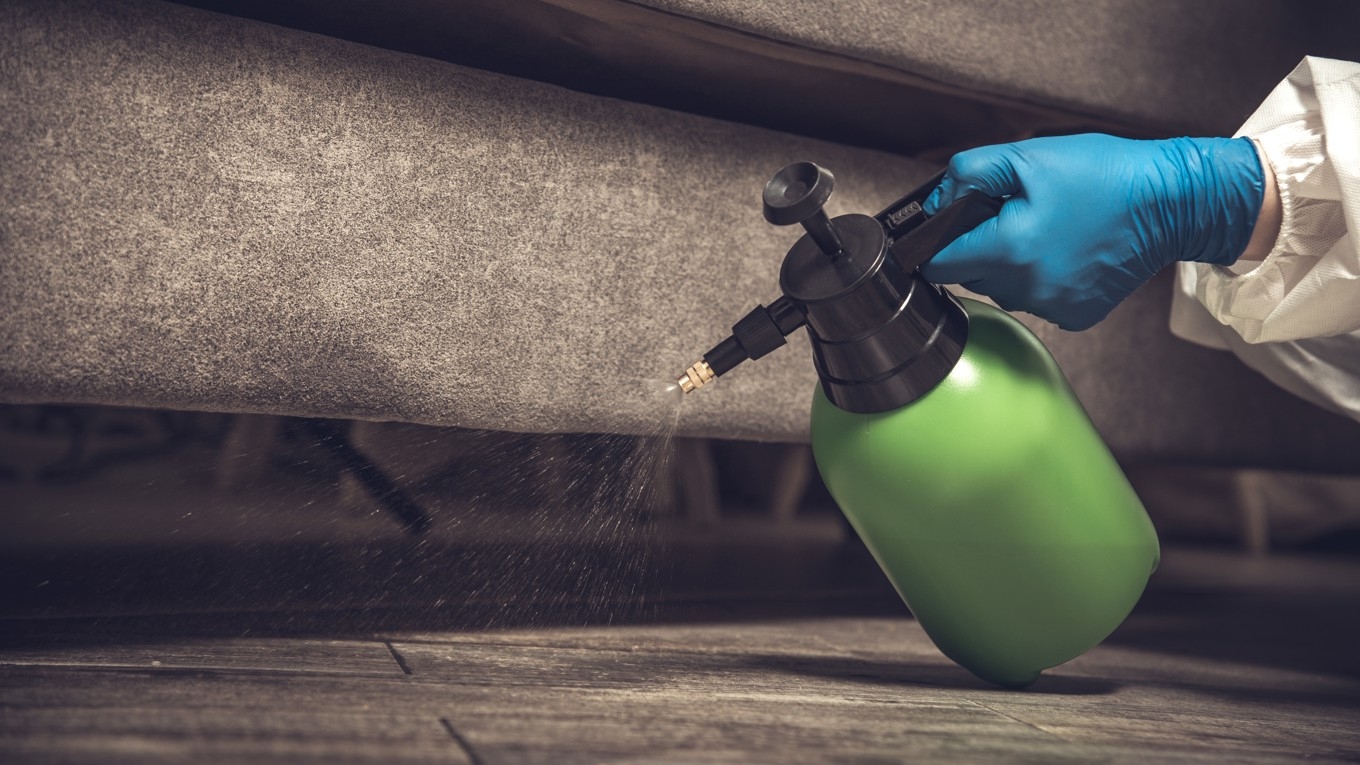 Många e-handlare säljer olagliga bekämpningsmedel genom affärsmodellen dropshipping. Foto: Natallia Boroda/Shutterstock