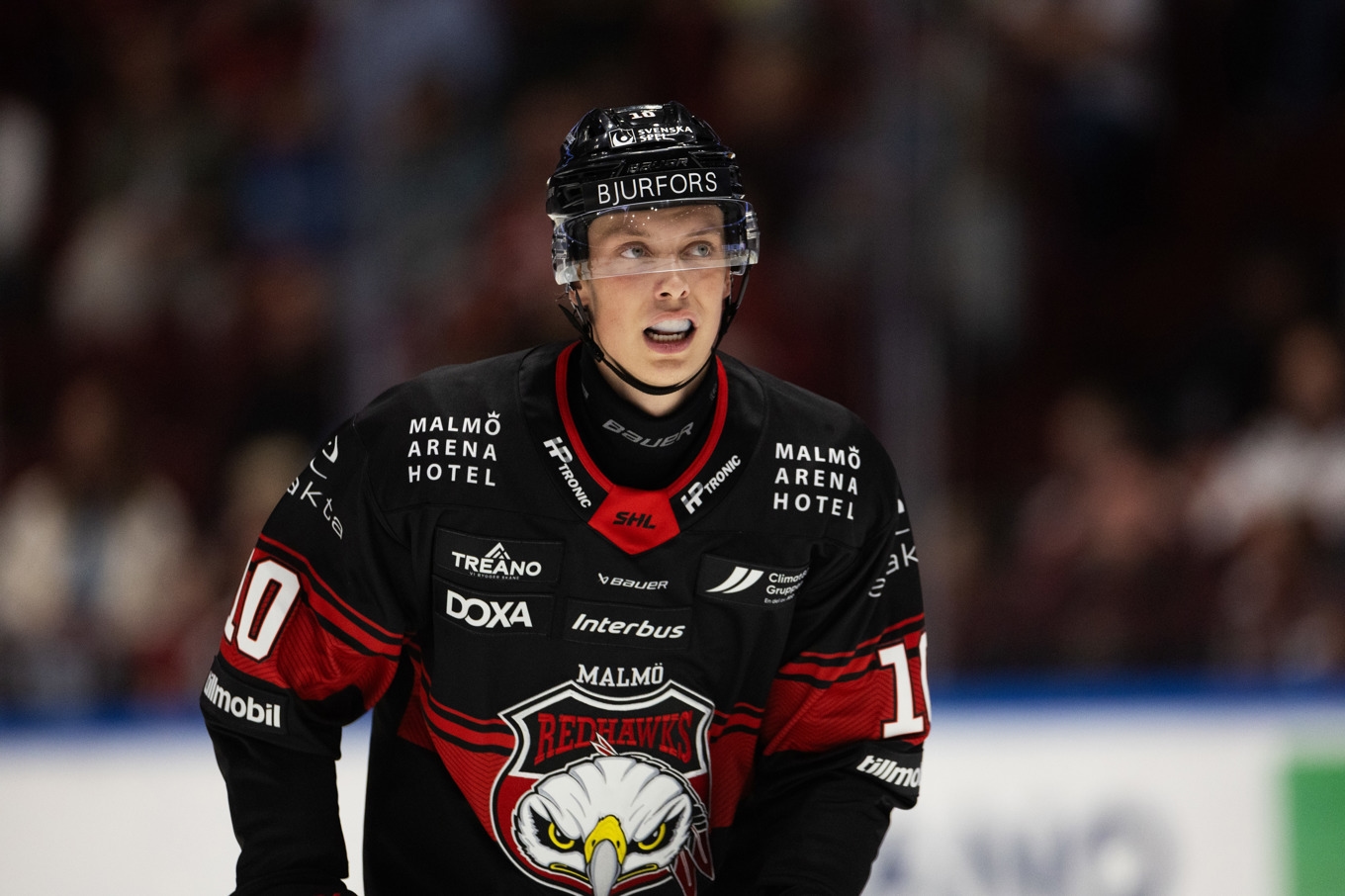 Malmös William von Barnekow avgjorde hemmamötet med Djurgården – ett mål som borde ha underkänts. Arkivbild. Foto: Andreas Hillergren/TT