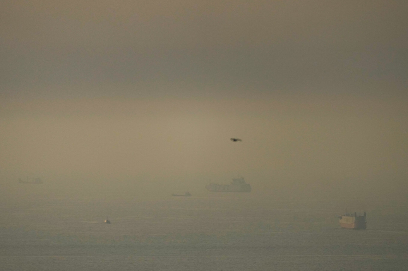 Transportfartyg i Hormuzsundet tidigare i veckan. Foto: AP/TT