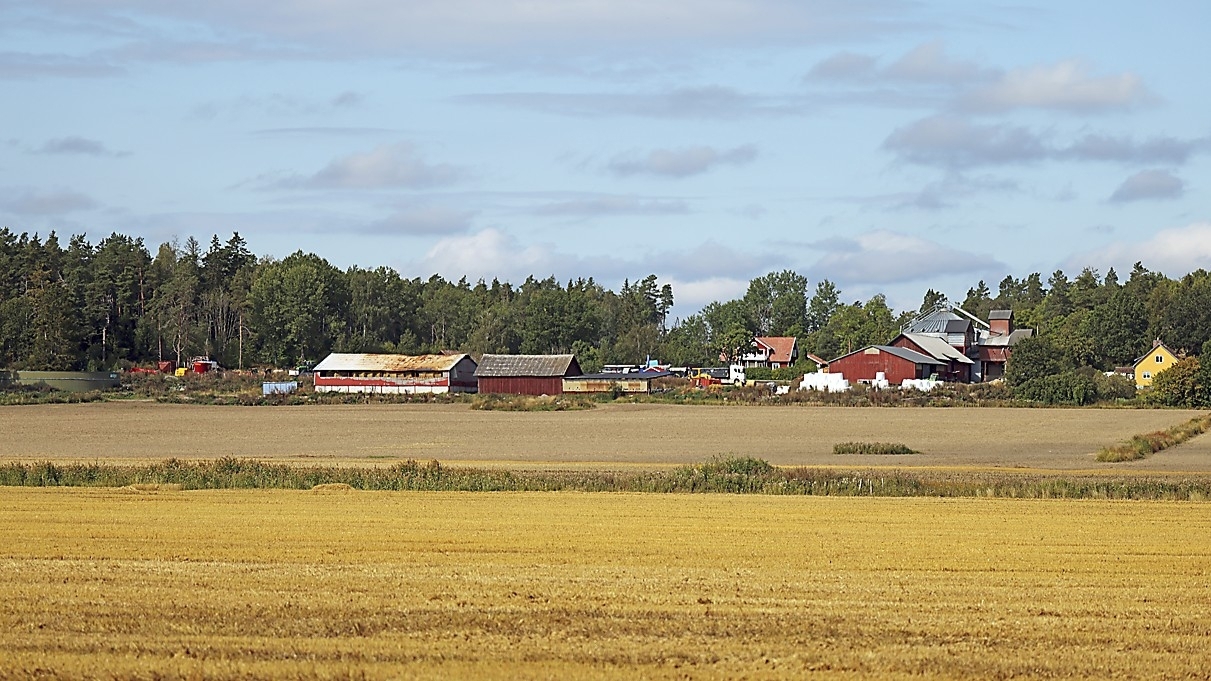 Trots offentligt finansierade master tackar operatörer ofta nej till att investera på landsbygden. I Region Värmlands pilotprojekt från 2021 vägrade alla operatörer att etablera sig i nio prioriterade områden på grund av dåligt kundunderlag. Flera insatser görs för att locka marknaden att investera. Foto: Luke Walker/Getty Images