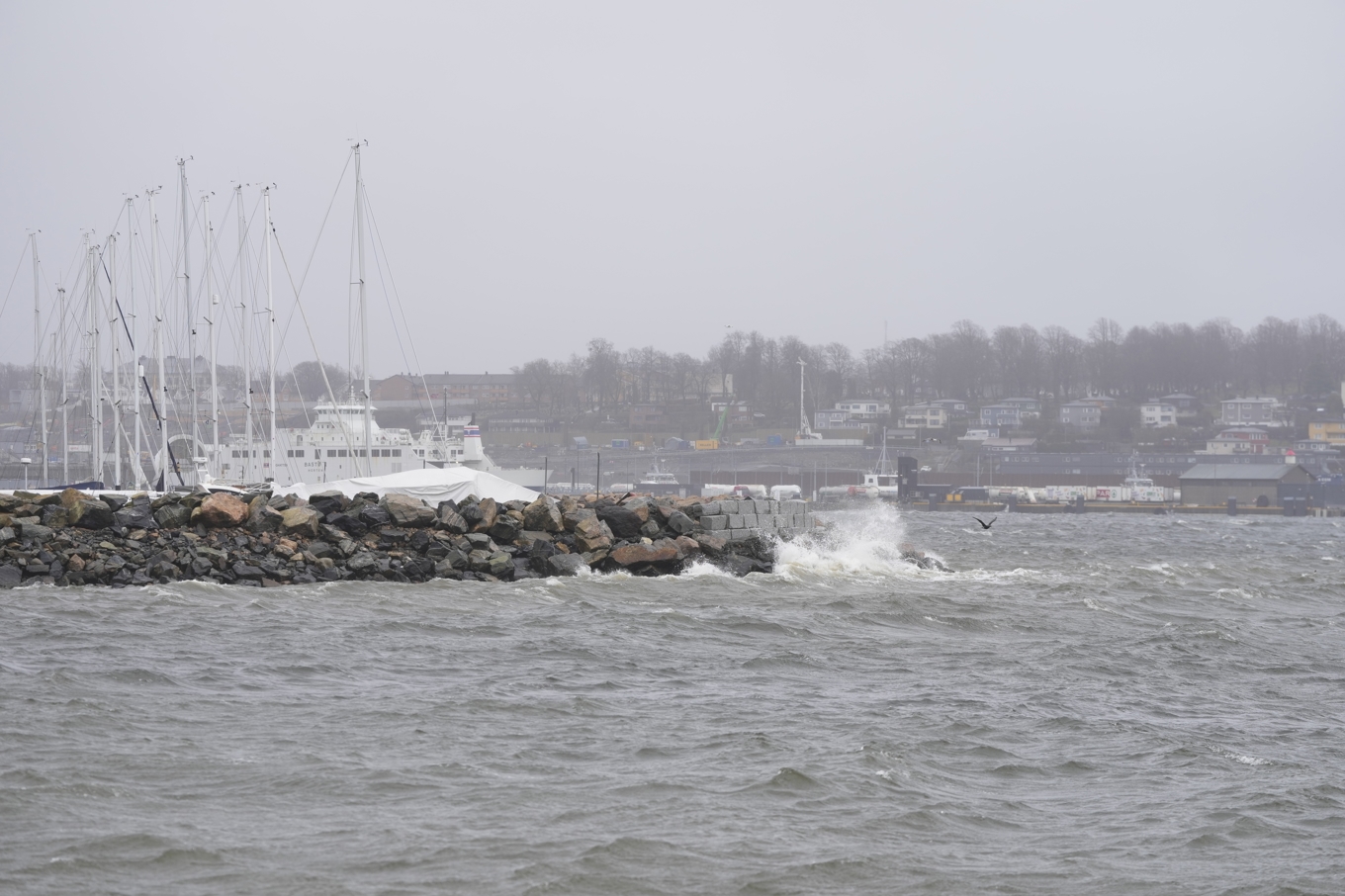 Stormen Dave har redan slagit till med stor kraft. Här i Moss, sydöstra Norge. Foto: Amanda Pedersen Giske/NTB