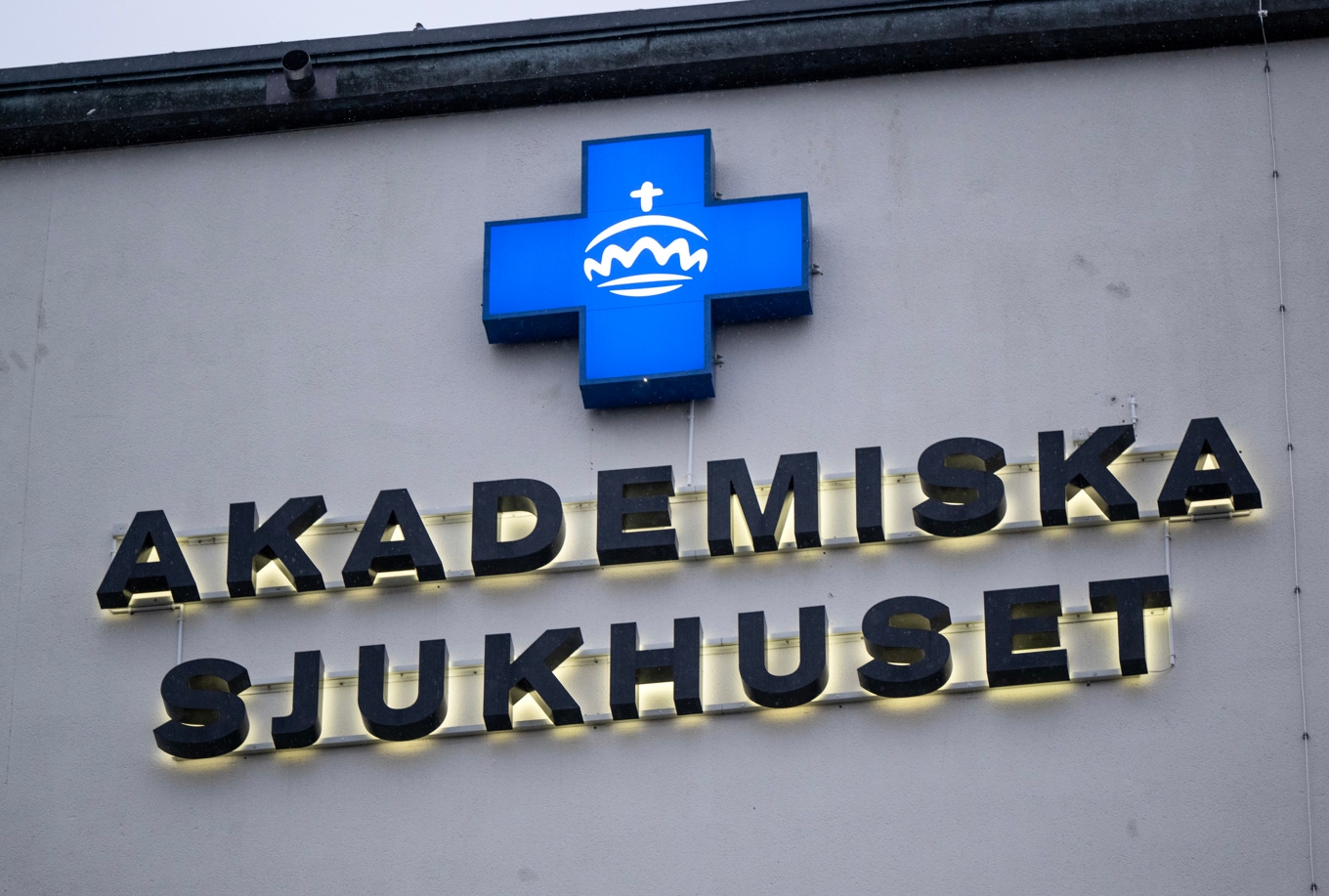 Kvinnan greps i december misstänkt för att ha förgiftat fyra personer på sjukhuset. Arkivbild. Foto: Christine Olsson/TT