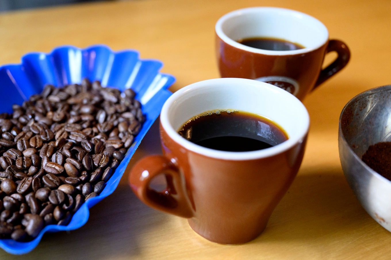 Priset på kaffebönor väntas sjunka tack vare bättre skördar. Foto: Jessica Gow / TT