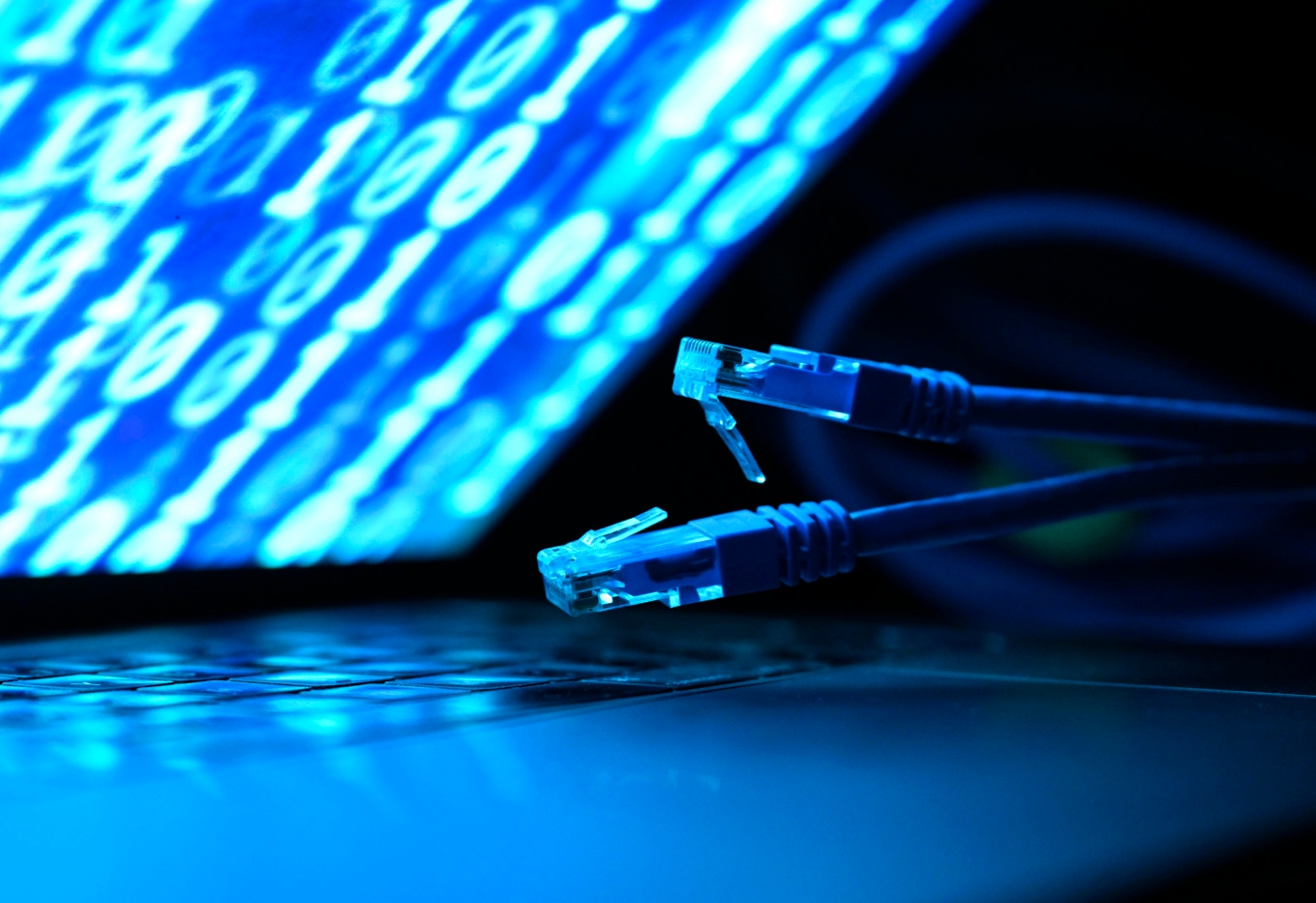 Kryptokuppen uppges vara den största hittills i år. Genrebild. Foto: Fredrik Sandberg/TT