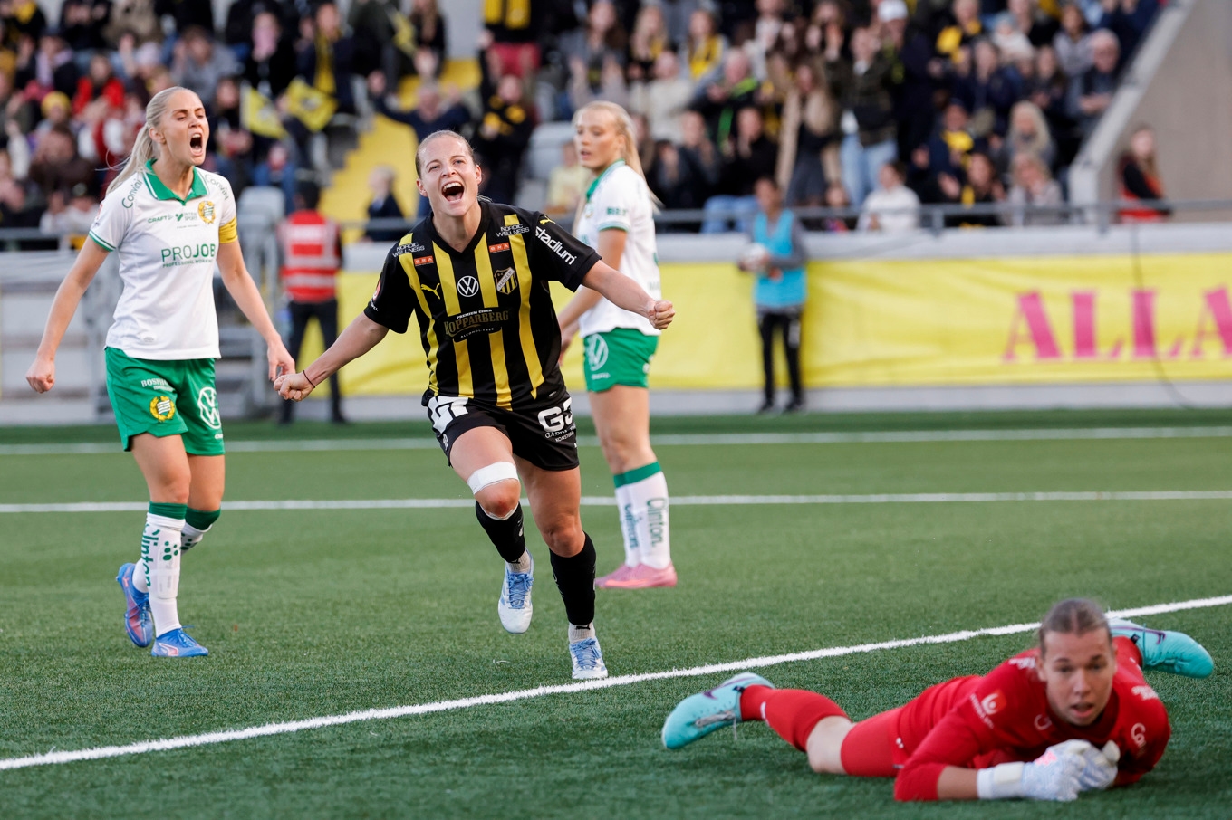 En historisk final väntar mellan Hammarby och Anna Anvegårds BK Häcken i Europa Cup. Arkivbild. Foto: Adam Ihse/TT